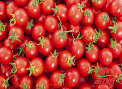 Buy hy vee tomato paste at an exceptional price