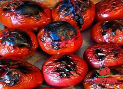 Buy tomato paste babies types + price