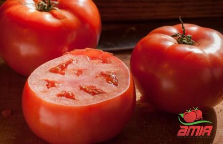 Buy organic tomato paste aldi + best price