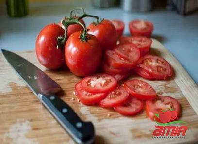 Price and buy turkish food tomato paste + cheap sale