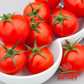 Buy roasted tomato paste types + price