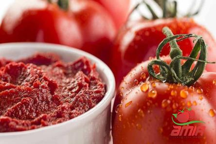 Buy tomato paste aldi types + price