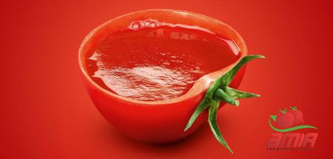 Price and buy best homemade tomato paste + cheap sale