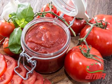 Price and buy best canned tomato paste + cheap sale